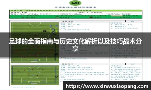 足球的全面指南与历史文化解析以及技巧战术分享